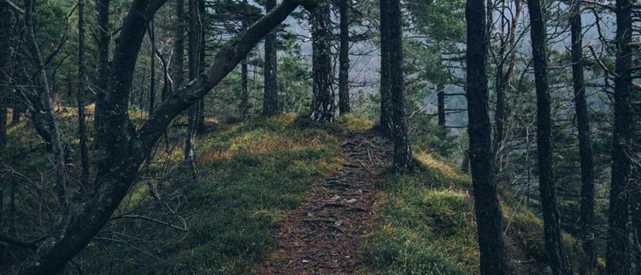 Lorem ipsum voorbeeldafbeelding
